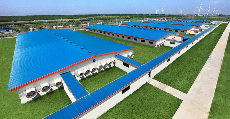 ��Һ��������