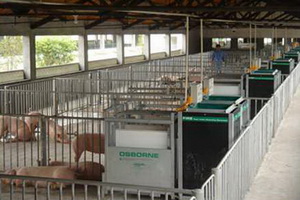 2005�깺��FIREϵͳ