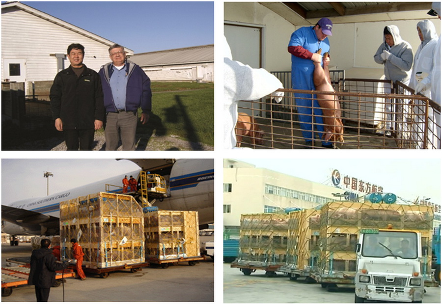 ����ѡ��