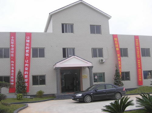 �����������޹�˾����֮��