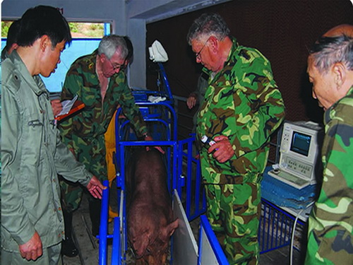 ���๫˾����ָ��