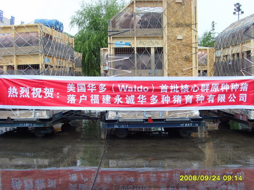 200��������ԭ����˳���ִ︣������