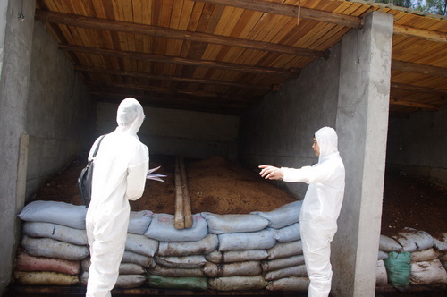 Ѧ������С����ܶѷʴ���ԭ��