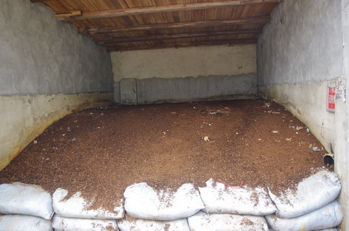 �ѷʴ���Ч��