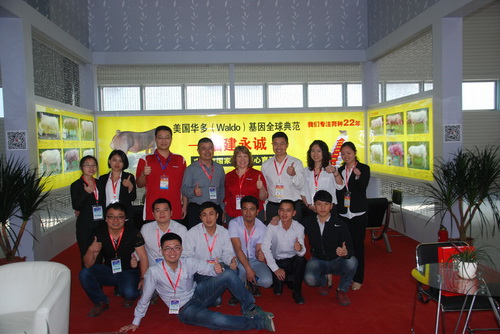 ��12�������ҵ���������Ϻ�Ӱ