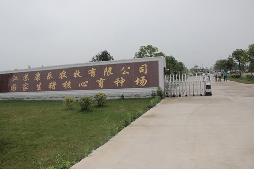 ��˾����