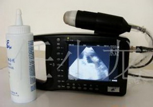 ĸ�������������