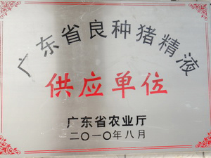 ʡ���㹩����λ