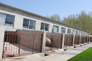 �����˶���