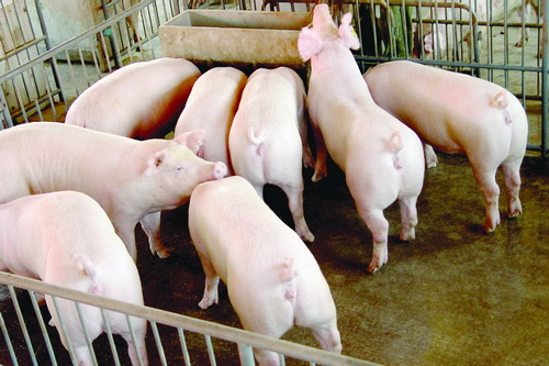 ��������������������