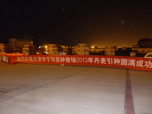 2013��������������