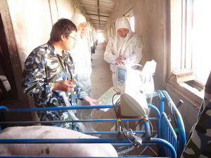 ���屳��ⶨ