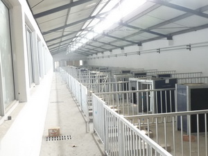 ��ʩһ��������ⶨ����