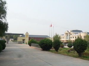 ������Զ�����ӳ���