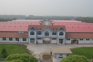 ��������ѡ����