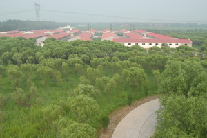 04������ѡ����