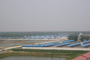 07����ʽ����ѡ����