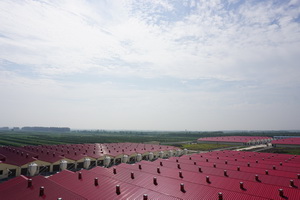 ���ŵ�һ�ֳ�