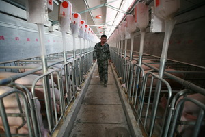 �Ƚ����������ռ��豸