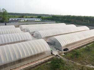 �л��߲˴���