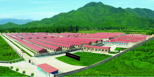 ����ȫ��ʾ��ͼ