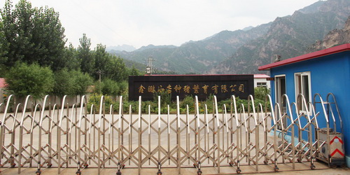 ��������