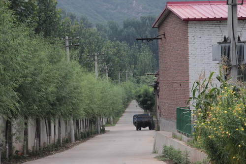 ����ͨ��