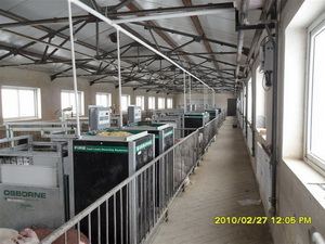 ����ȫ�Զ��������ܲⶨ�豸