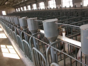 ͬ��ι��ϵͳ