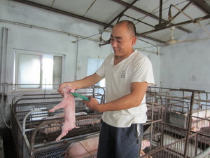 �������������