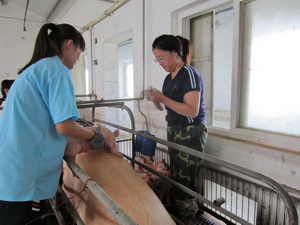 ��������