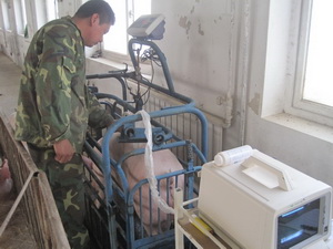 ���屳��ⶨ