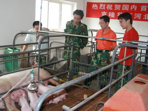 ������������-3�� ֬����ȥ����øת�����¡����