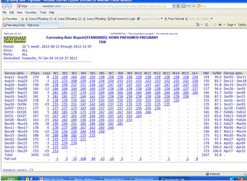 ���ݹ���