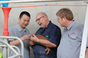 ������ר�ҿµ�˹������ר�ҷƶ��ȼ����½��ڽ���