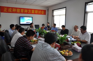 �������ֻ�