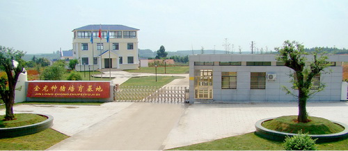 ��˾����