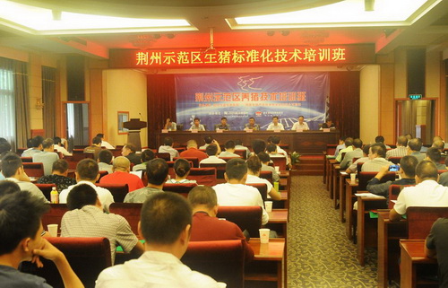 ��Ӫ��ѵ��