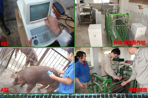 ������ʩ�豸