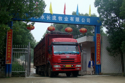 �������䳵����