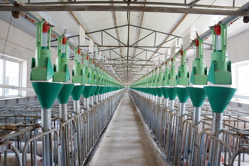 �Զ�ι��ϵͳ-����