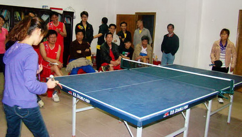 ƹ������