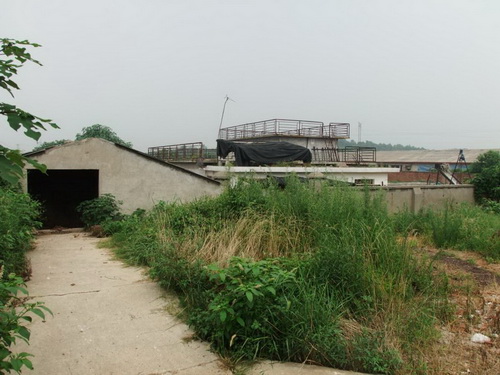 �ɷ��Ｐ��ˮ����