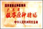 BLTP98.jpg (9056 �ֽ�)