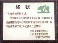 pai5.jpg (10507 �ֽ�)